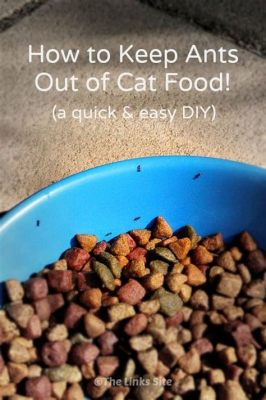 how to keep ants out of outdoor cat food